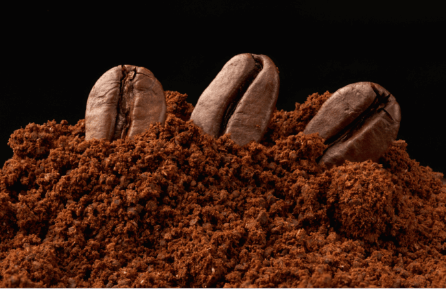 marc de café 1 grain_de_café_et_marc